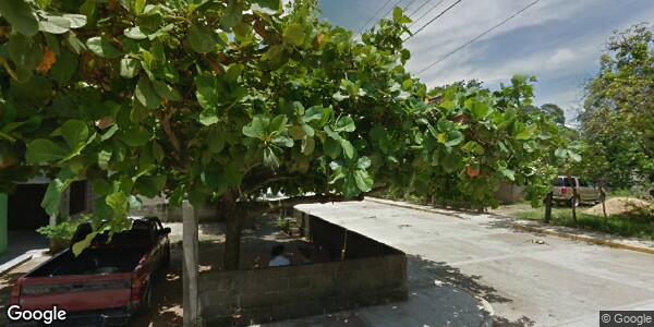 COMITÉ DE VIGILANCIA AMBIENTAL PARTICIPATIVA FEDERAL